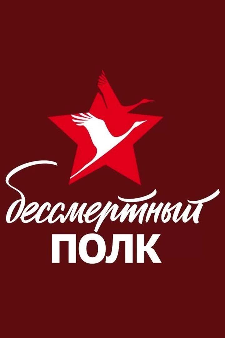 Бессмертный полк Московской области (bessmertnyj-polk-moskovskoj-oblasti) Другое