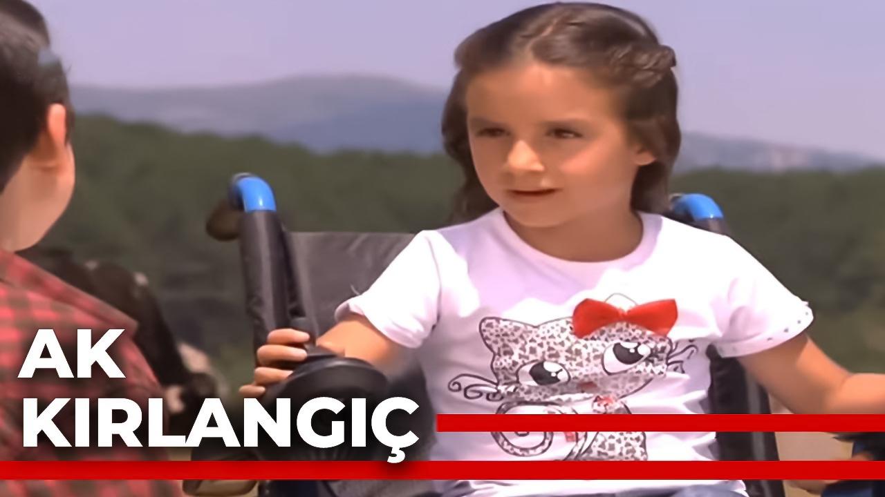 Ak Kırlangıç (ak-krlang) Фильм