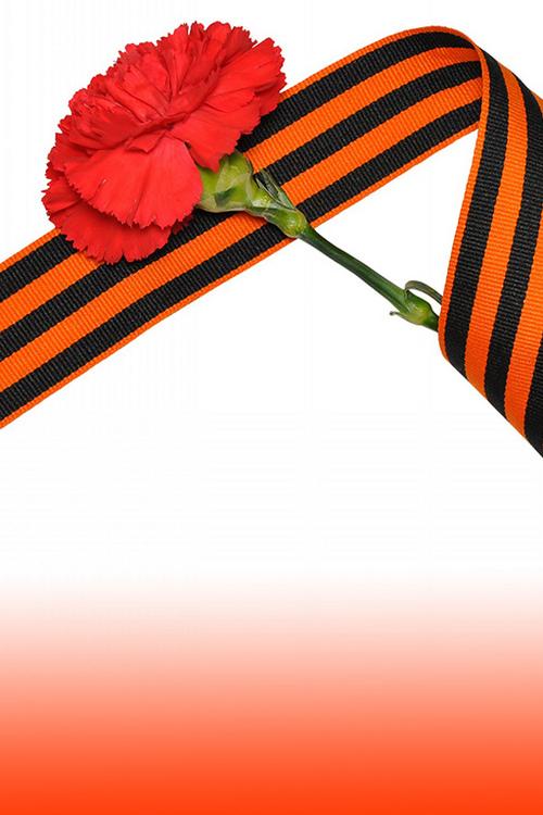 Трансляция парада Победы и шествия Бессмертного полка (transljatsija-parada-pobedy-i-shestvija-bessmertnogo-polka) Другое
