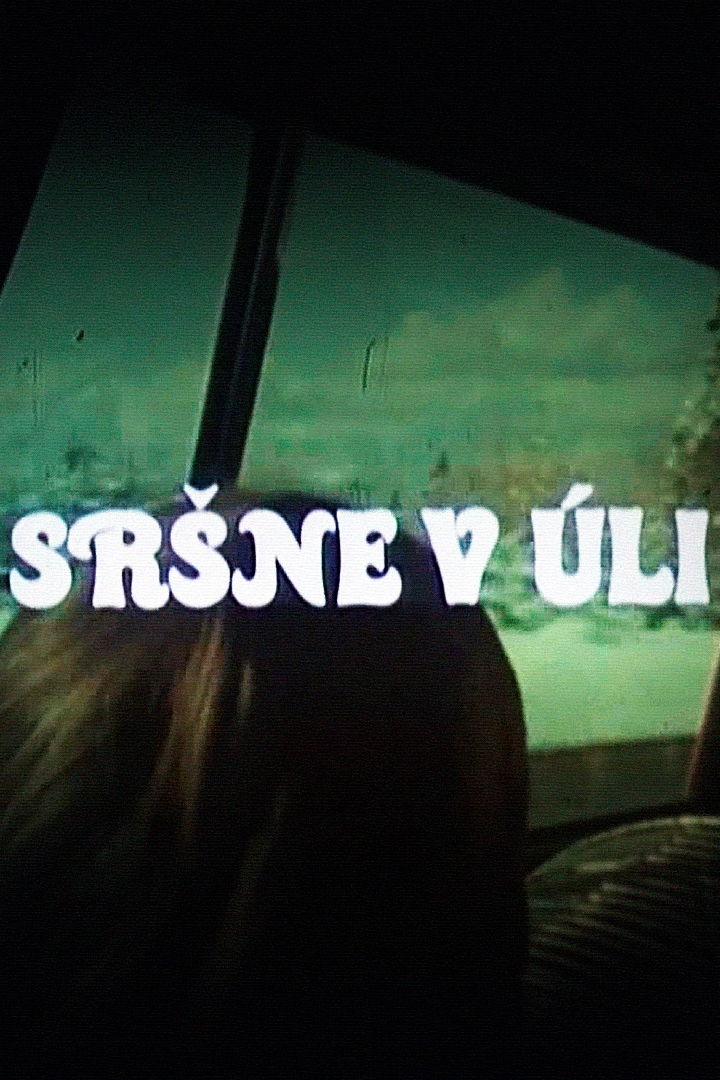 Sršne v úli (srne-v-li) Сериал 1985