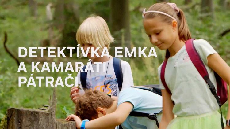 Постер Detektívka Emka a kamaráti pátrači