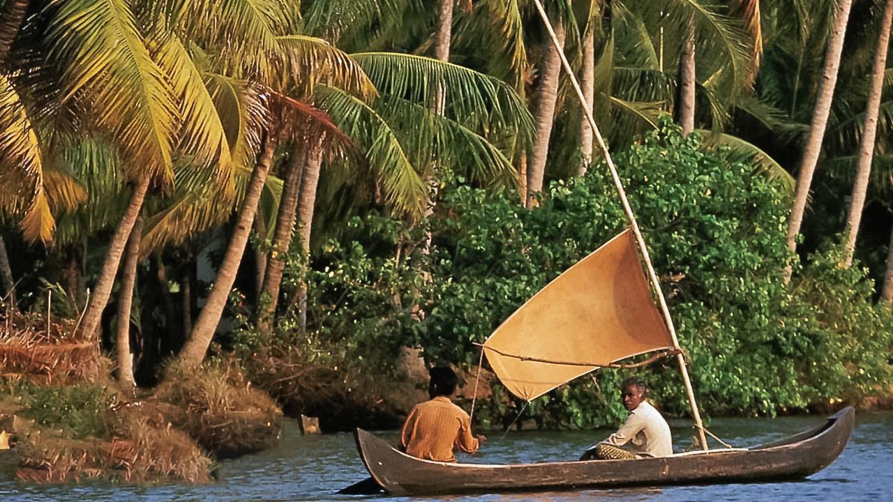 A la découverte de l'Inde sauvage (a-la-dcouverte-de-linde-sauvage) Документальный сериал