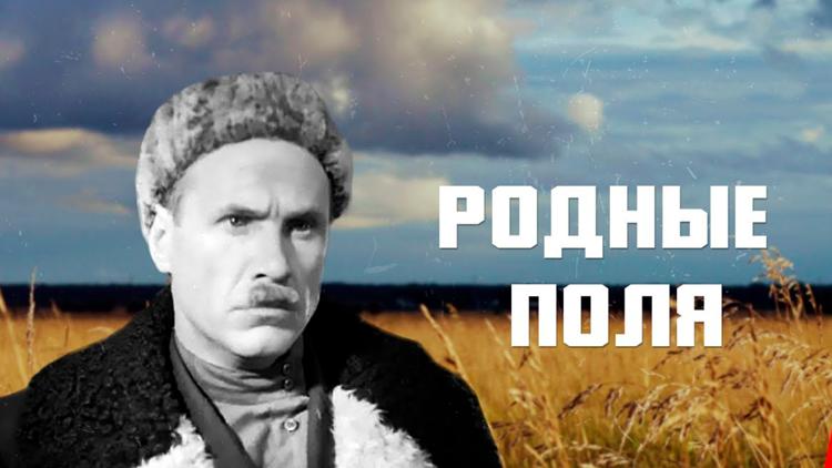 Постер Родные поля