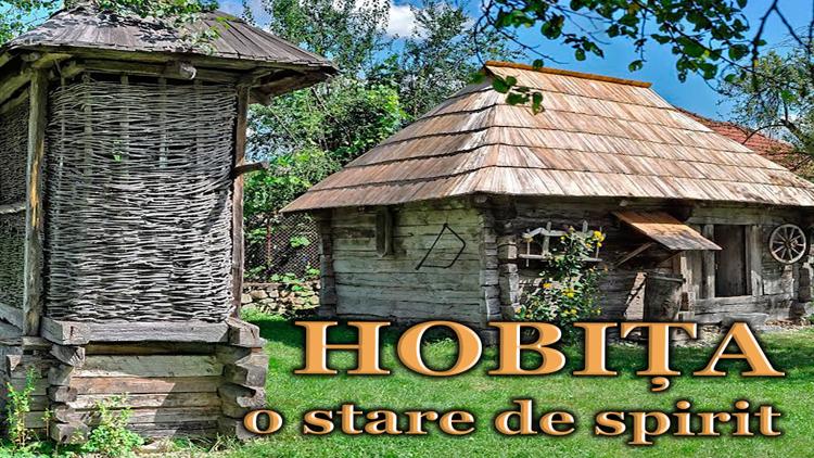 Постер Hobița-o stare de spirit