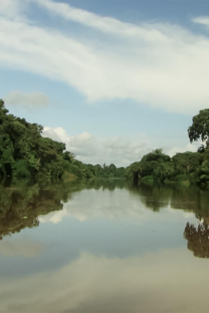 Amazonas (amazonas) Документальный фильм