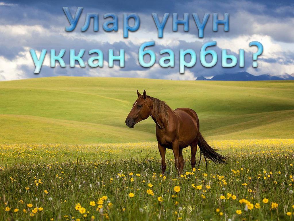 Улар үнүн уккан барбы? (ular-nn-ukkan-barby) Документальный фильм