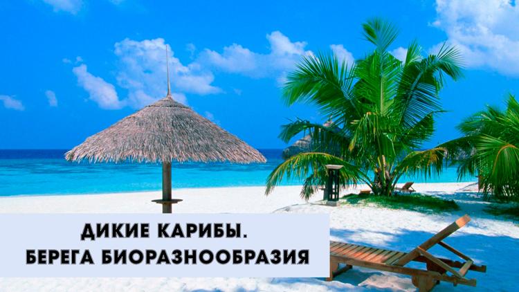 Постер Дикие Карибы. Берега биоразнообразия