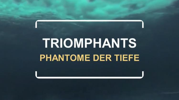 Постер Triomphants – Phantome der Tiefe