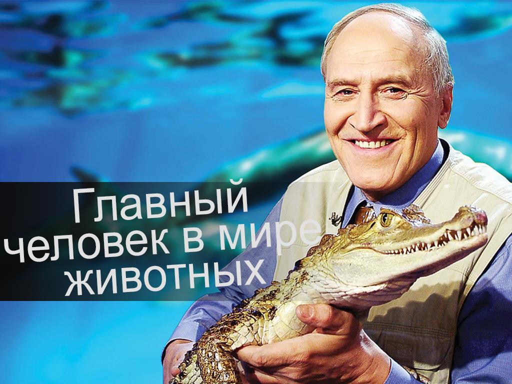 Главный человек в мире животных (glavnyj-chelovek-v-mire-zhivotnyh) Документальный фильм