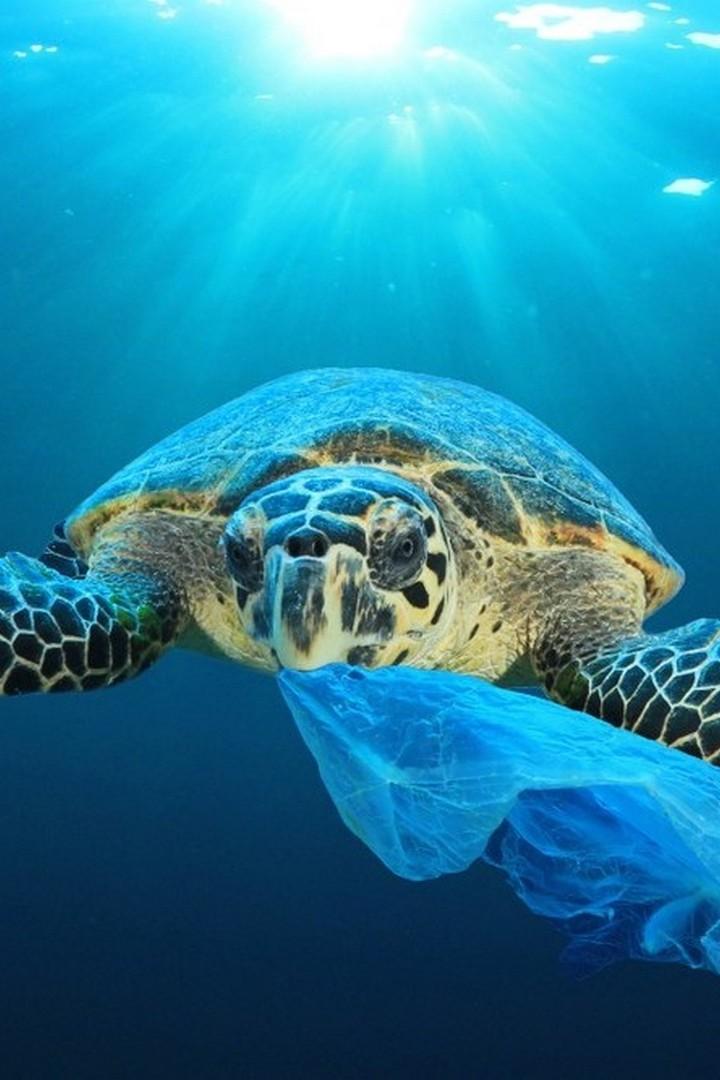 Микропластик в океане (mikroplastik-v-okeane) Документальный фильм