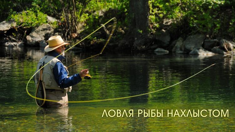 Постер Ловля рыбы нахлыстом