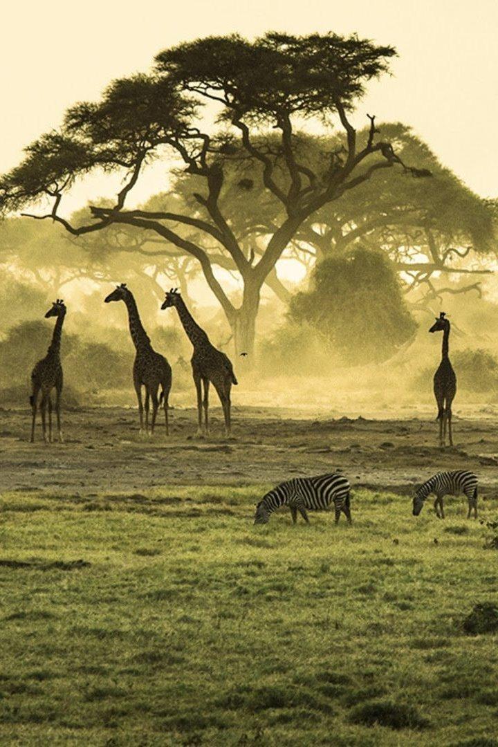 Необъятная Африка (neobjatnaja-afrika) Документальный сериал