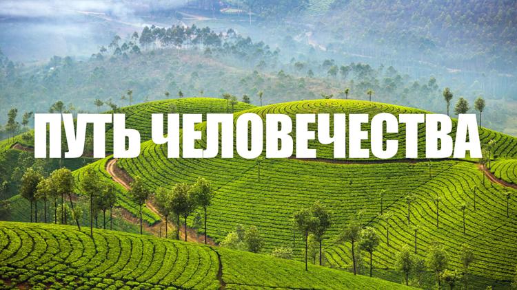 Постер Путь человечества