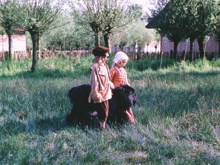 Фландрийский пес (flandrijskij-pes) Фильм 1999