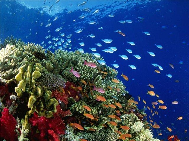 Средиземноморье. Полуостров Бодрум (sredizemnomore-poluostrov-bodrum) Документальный фильм
