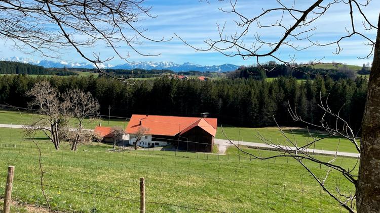 Постер Zwischen Bergzauber und Kuhmist: Leben auf der Alm