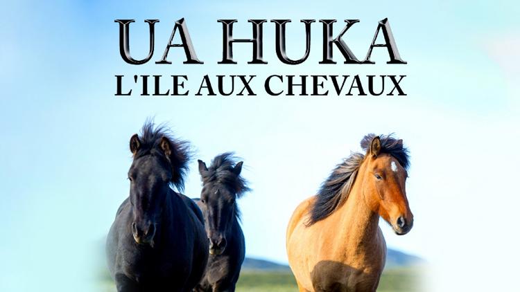 Постер Ua huka, l'île aux chevaux