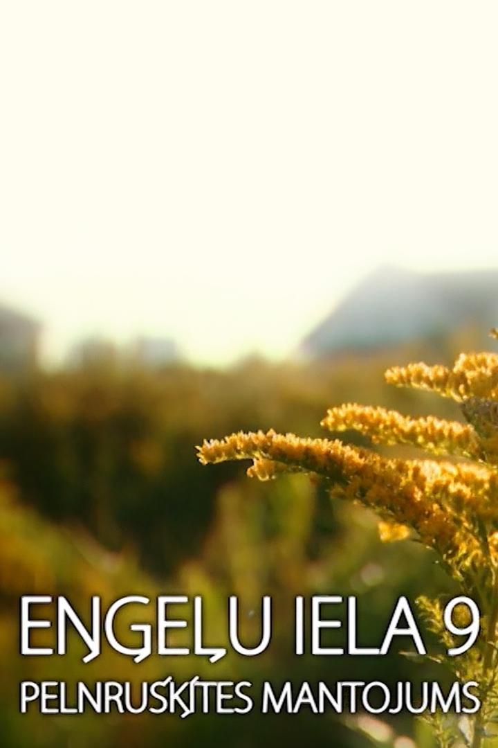 Eņģeļu iela 9. Pelnrušķītes mantojums (eeu-iela-9-pelnrutes-mantojums) Сериал 2013