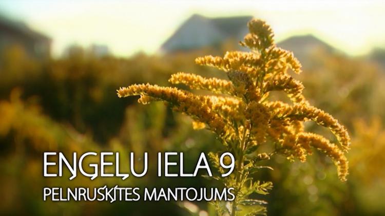 Постер Eņģeļu iela 9. Pelnrušķītes mantojums