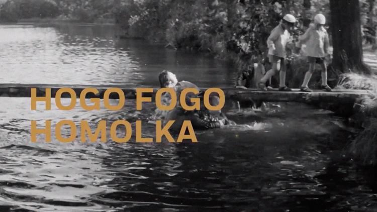 Постер Hogo Fogo Homolka