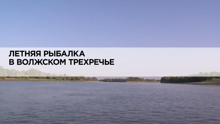 Постер Летняя рыбалка в волжском трехречье