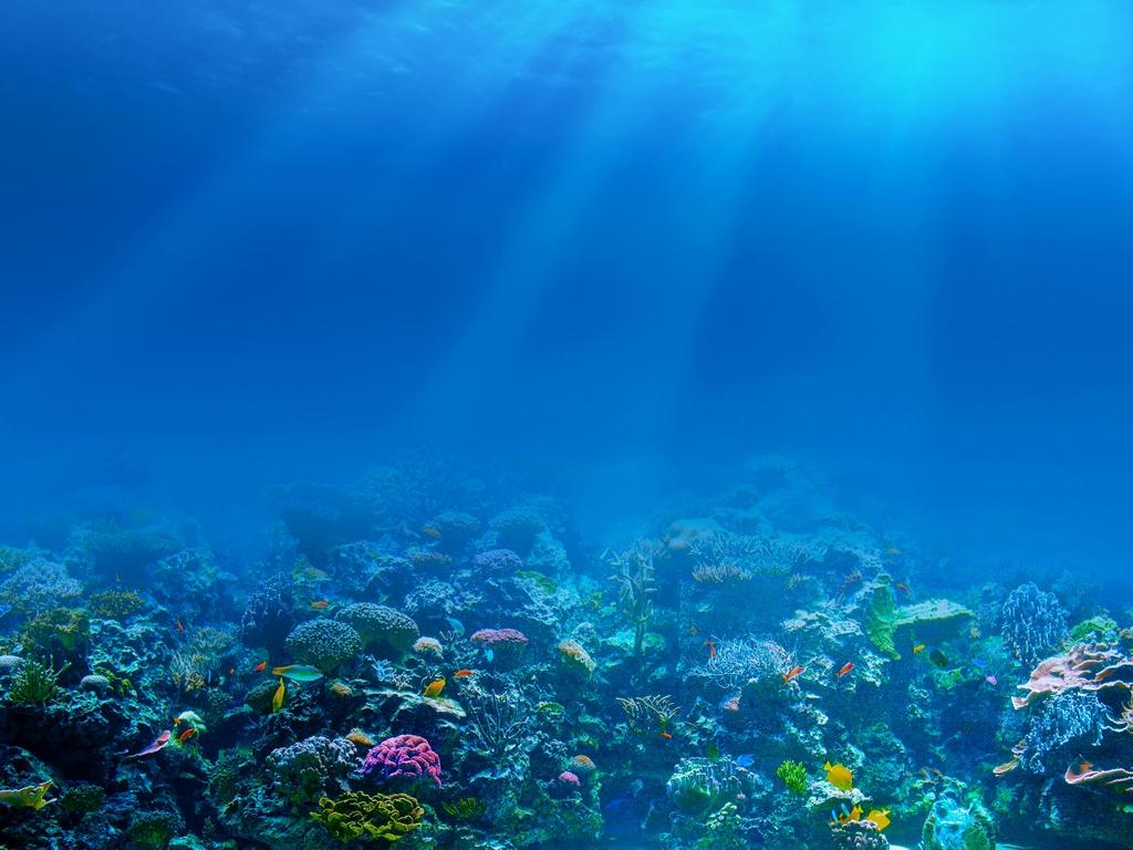 Подводное царство (podvodnoe-tsarstvo) Познавательное