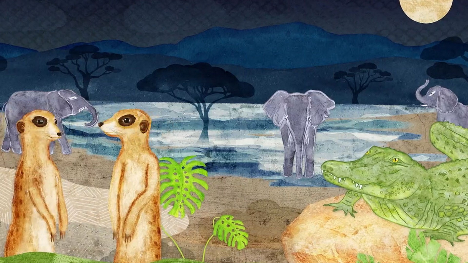 Wildlife 24 (wildlife-24) Познавательное