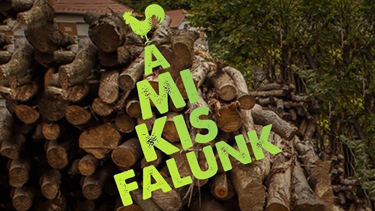 Постер A mi kis falunk