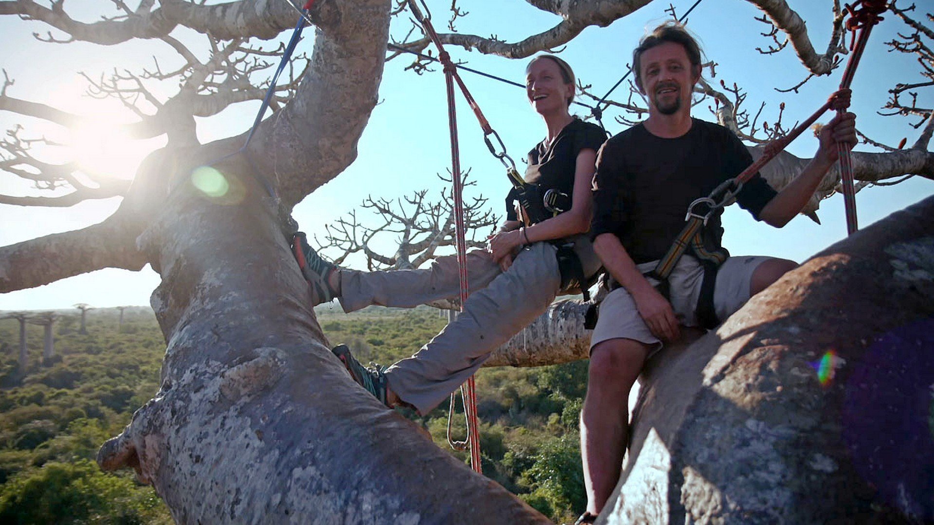 Madagaskar - les zázraků (madagaskar-les-zzrak) Документальный фильм