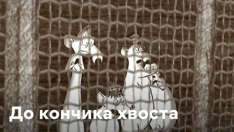 Постер До кончика хвоста