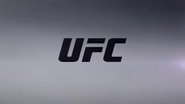 Постер Смешанные единоборства. UFC 249. Тони Фергюсон против Джастина Гейтжи. Алексей Олейник против Фабрисио Вердума