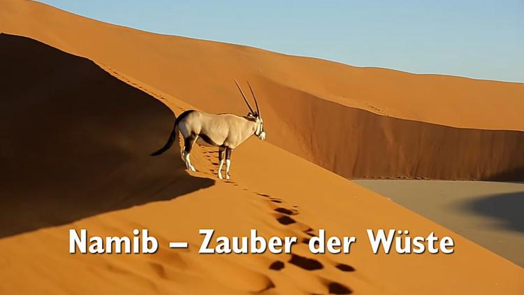 Постер Namib-Zauber der Wüste