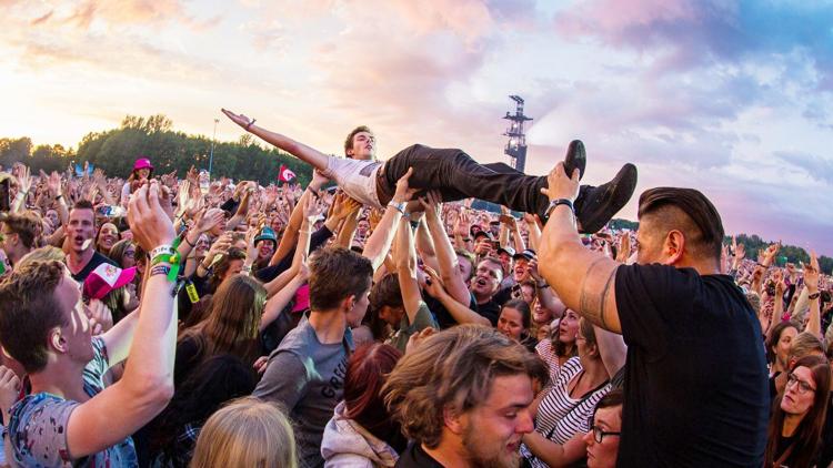 Постер Pinkpop