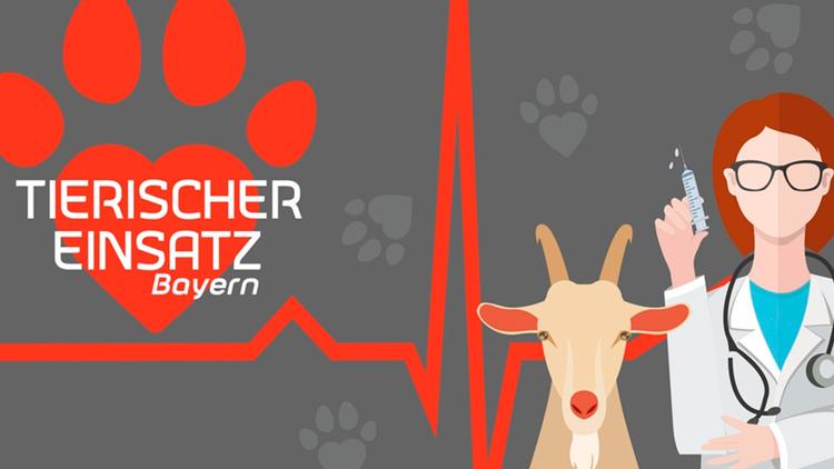 Постер Tierischer Einsatz Bayern