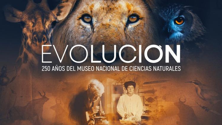 Постер Evolución: 250 años del Museo Nacional de Ciencias Naturales