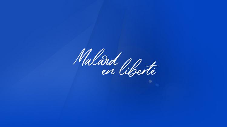 Постер Malard en liberté