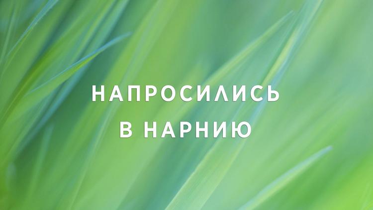 Постер Напросились в Нарнию