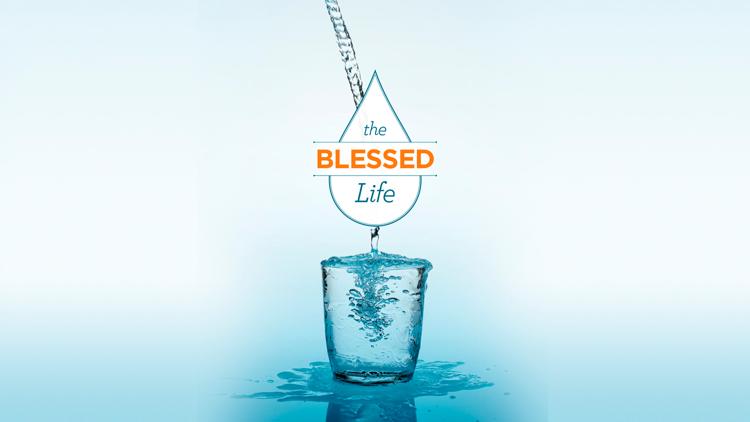 Постер Robert Morris: The Blessed Life