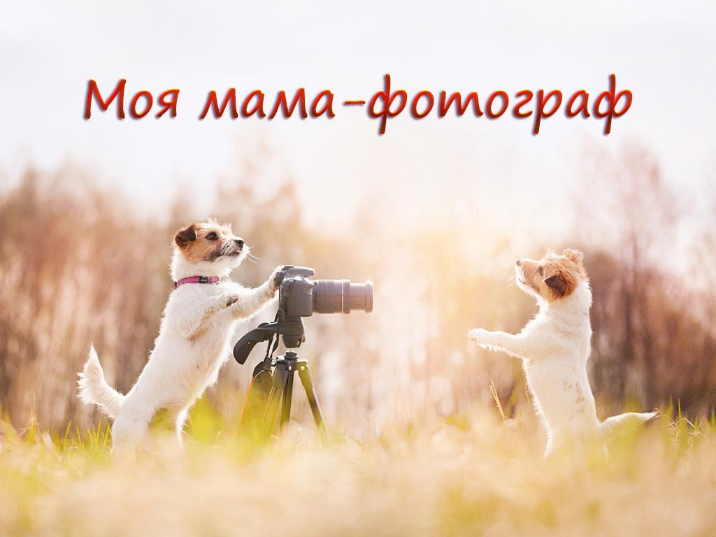 Моя мама-фотограф (moja-mama-fotograf) Документальный фильм
