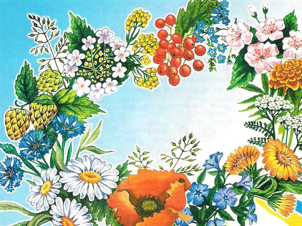 Українкою я народилася (ukrankoju-ja-narodilasja) Досуг, хобби