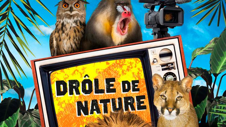 Постер Drôle de nature