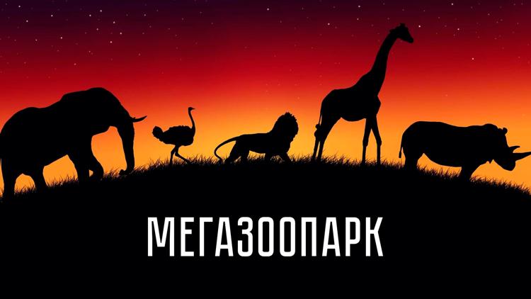 Постер Мегазоопарк