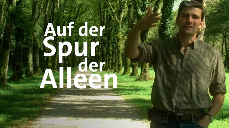 Постер Auf der Spur der Alleen