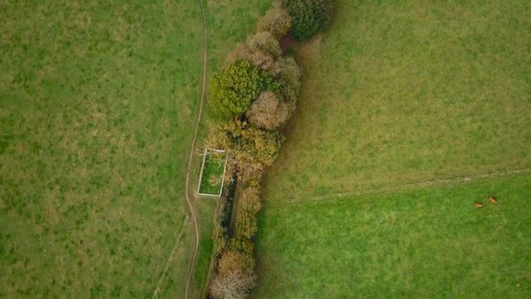 Постер Bocage, Nos haies communes