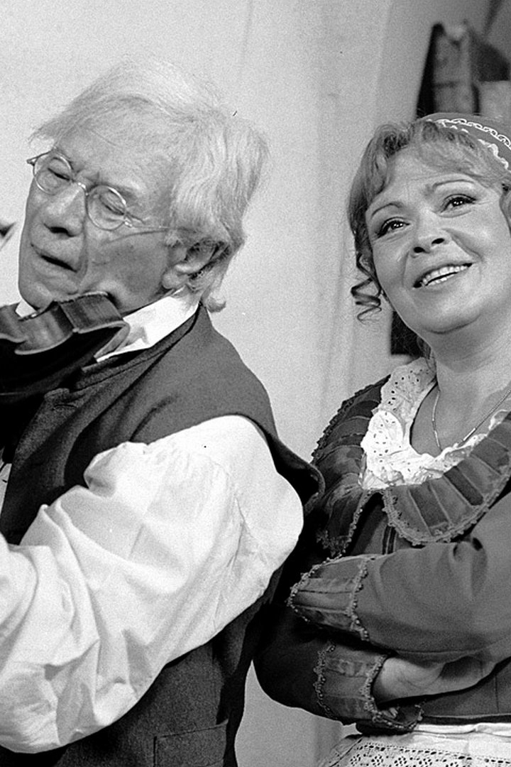 Královna bludiček (krlovna-bludiek) Фильм 1981