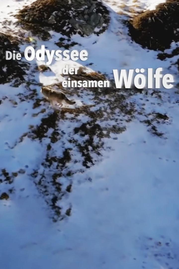 Die Odyssee der einsamen Wölfe (die-odyssee-der-einsamen-wlfe) Документальный фильм