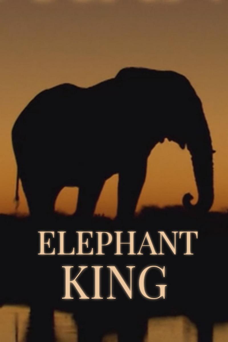 Elephant King (elephant-king) Документальный фильм