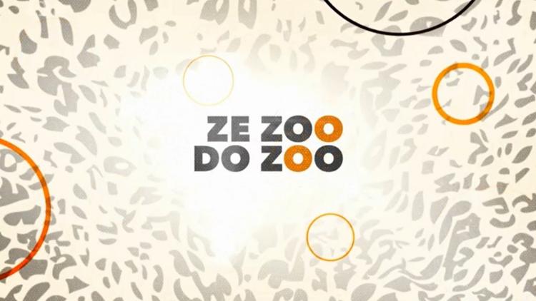 Постер Ze ZOO do ZOO