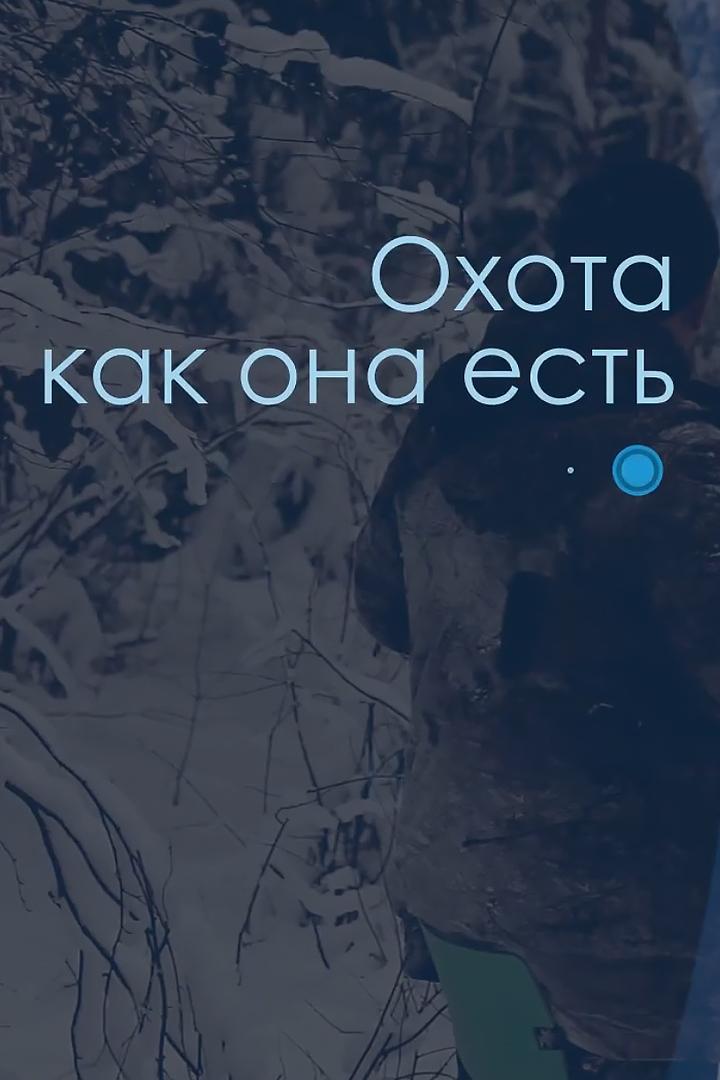 Охота как она есть (ohota-kak-ona-est) Досуг, хобби