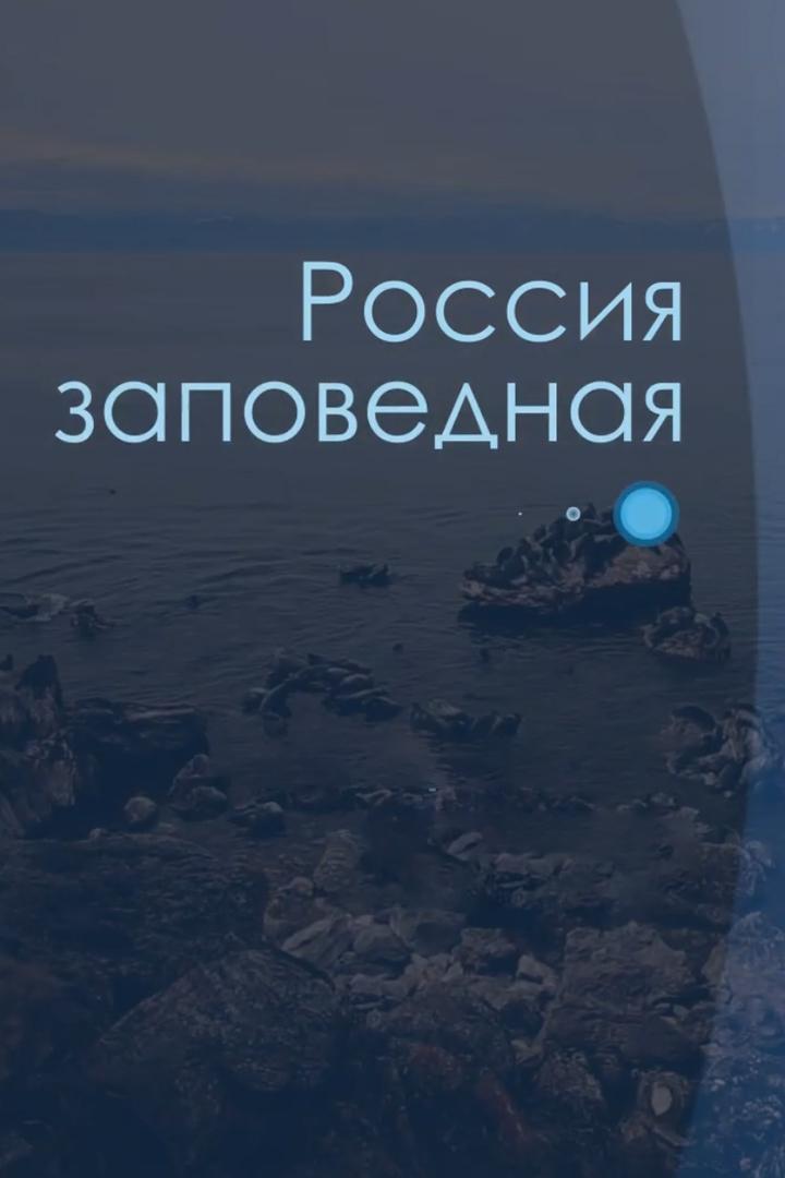 Россия заповедная (rossija-zapovednaja) Досуг, хобби